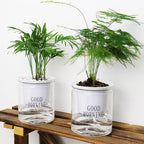Zevolim| Self-watering Hydro-Flower Pot