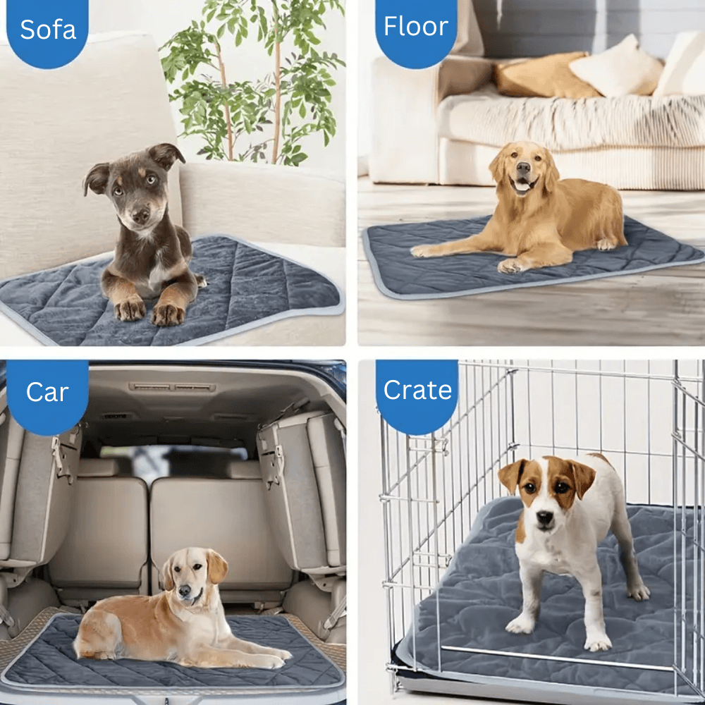ToastyPaws Dog Self-Heating Pad
