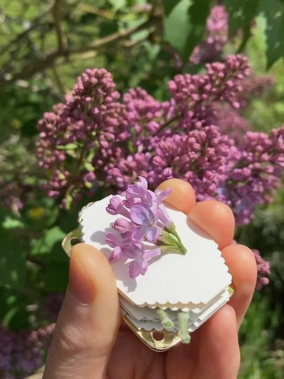 Mini Flower Press | Compact Botanical Keepsake Maker | Portable Craft Tool