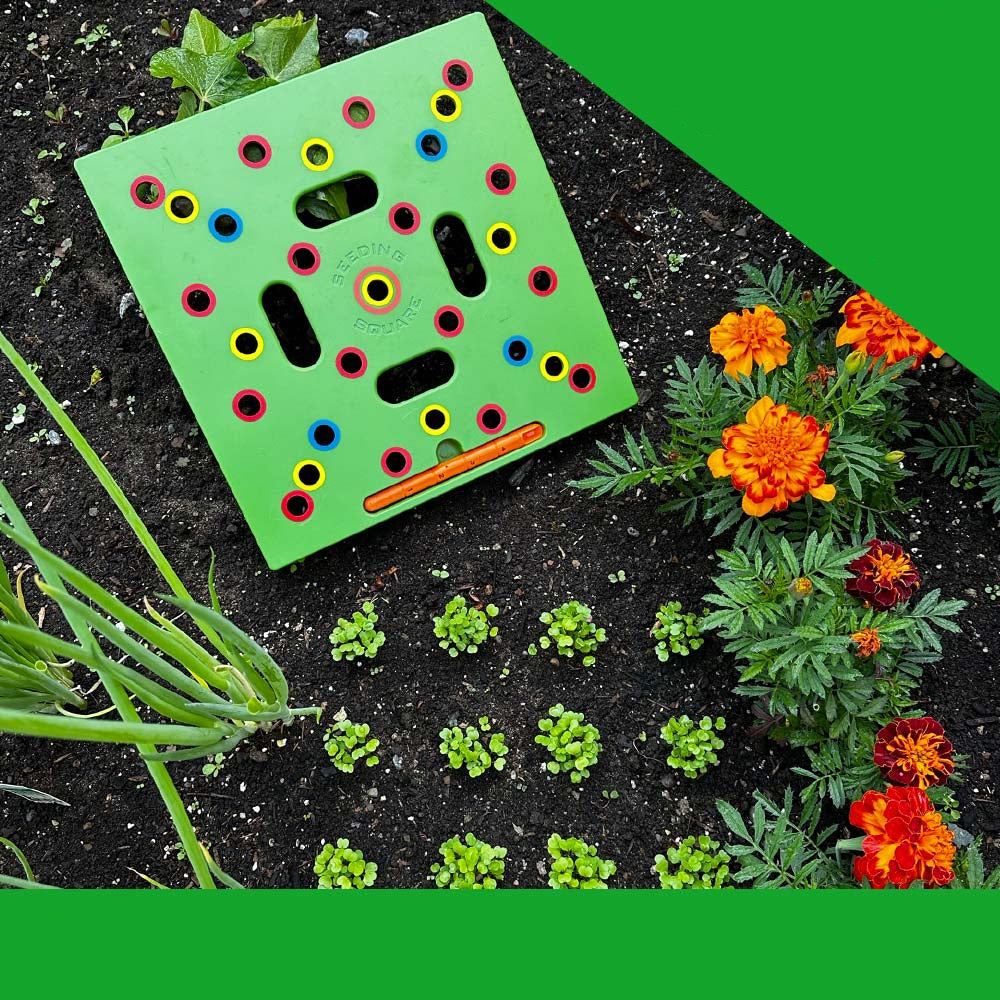 Zevolim| GardenLux Elite Seed Starter Set | Transform your gardening experience with expert guidance and premium tools