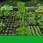 Zevolim| GardenLux Elite Seed Starter Set | Transform your gardening experience with expert guidance and premium tools