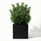 Seeley Cube Block Planter - Architectural Steel-Reinforced Fiberglass w/ Drainage, Indoor / Outdoor (14" / 20" / 24" / 30" Square)