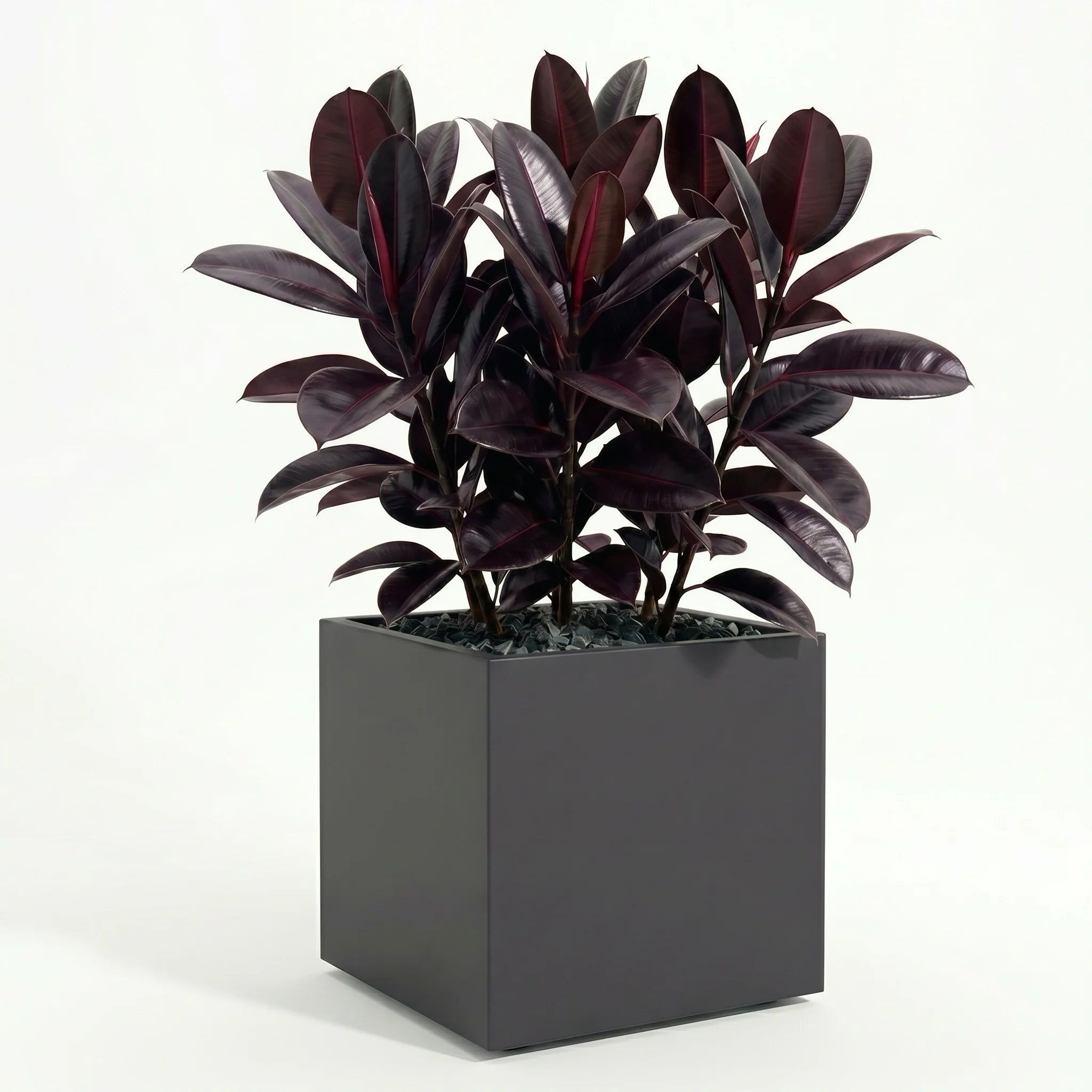 Seeley Cube Block Planter - Architectural Steel-Reinforced Fiberglass w/ Drainage, Indoor / Outdoor (14" / 20" / 24" / 30" Square)