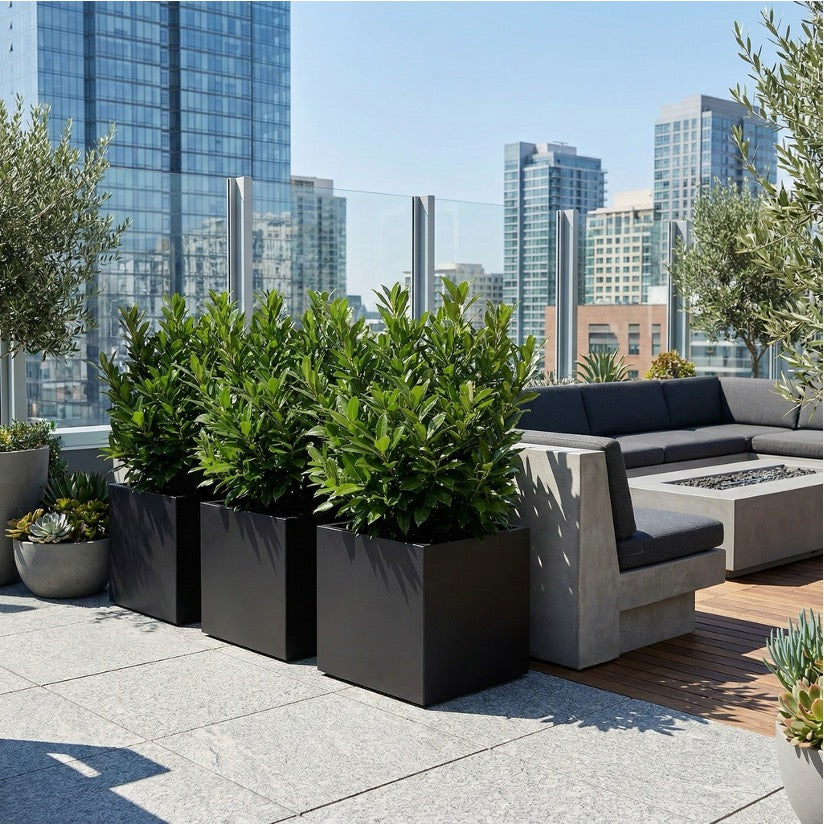 Seeley Cube 30" Extra Large Block Fiberglass Planter Box - Heavy Duty Steel Reinforced - Indoor / Outdoor Tree Planter w/ Drainage