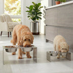 Slate Double Diner - Modern Architectural 304 Stainless Steel Stand, Elevated Dog Bowls (5"/ 9" / 12" / 18" Tall)