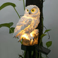 Zevolim| Solar powered Owl Garden Lamp - OwlGlow
