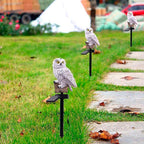Zevolim| Barter | Garden lamp owls with solar energy