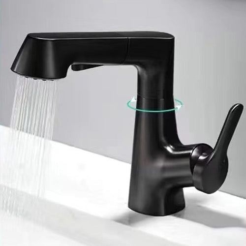 1-Hole Sink Mixer with Pull-Out Spray Head