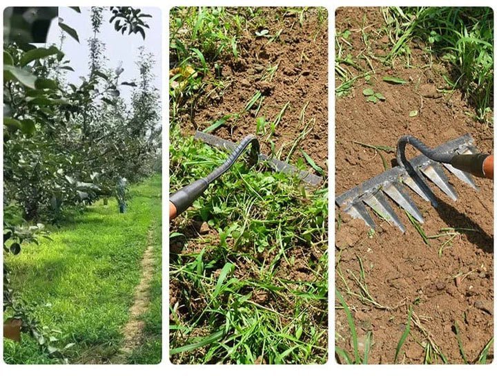 Zevolim| GardenBuddy | Effortless gardening