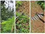 Zevolim| GardenBuddy | Effortless gardening