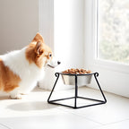Pyramid Single Diner - Minimalist Wrought Iron Metal Stand, Elevated Dog Bowl (5", 7", 10", 18" Tall)
