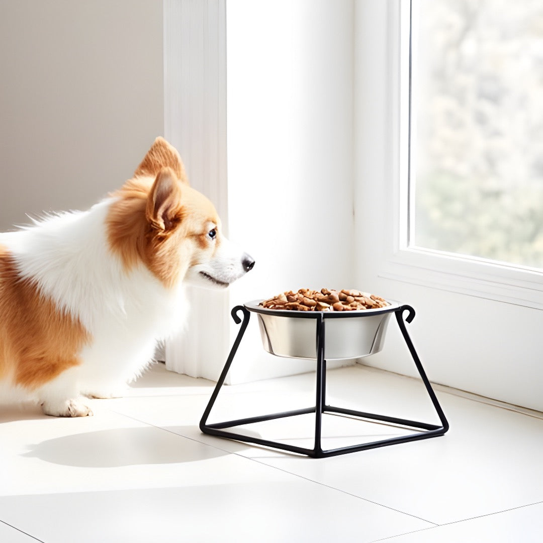 Pyramid Single Diner - Minimalist Wrought Iron Metal Stand, Elevated Dog Bowl (5", 7", 10", 18" Tall)