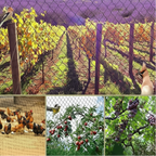 UV-Resistant Netting for Orchards, Birds & Deer
